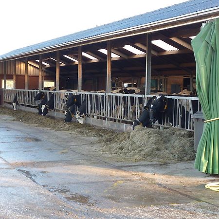 Boerderij "De Verwondering" Goudriaan Ngoại thất bức ảnh