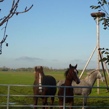 Boerderij "De Verwondering" Goudriaan Ngoại thất bức ảnh