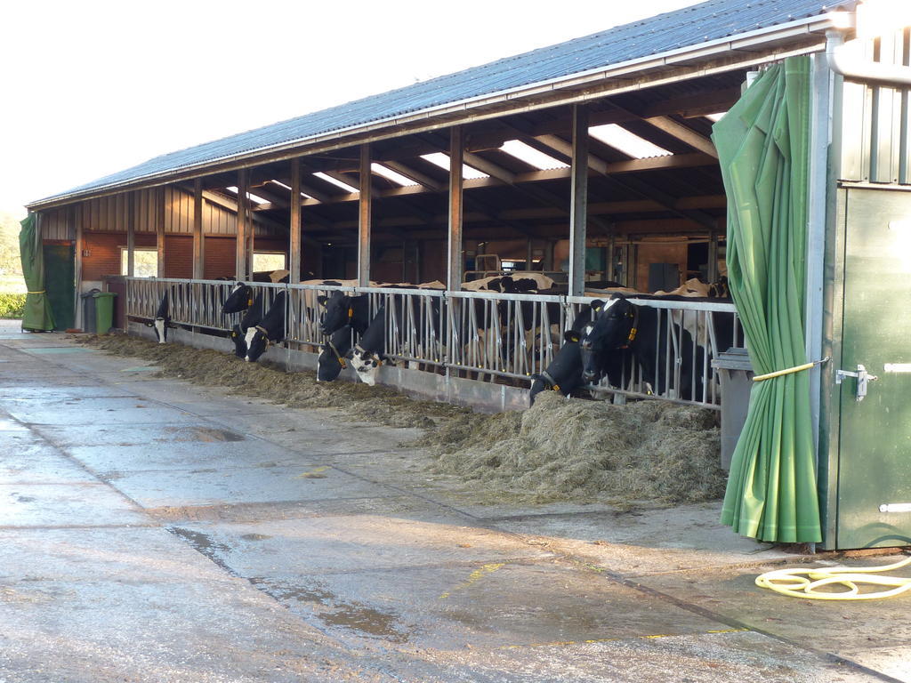 Boerderij "De Verwondering" Goudriaan Ngoại thất bức ảnh