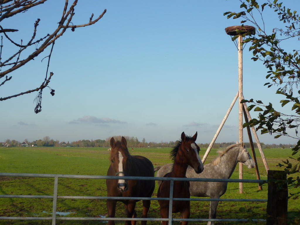 Boerderij "De Verwondering" Goudriaan Ngoại thất bức ảnh