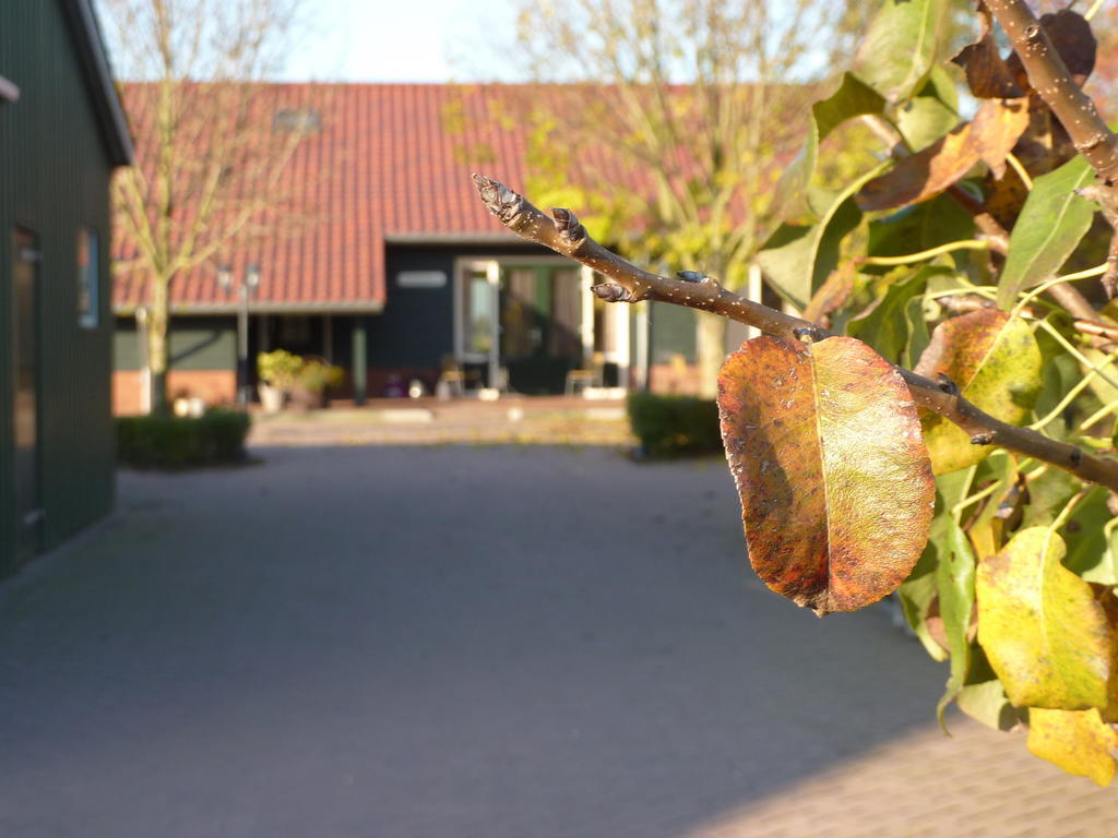 Boerderij "De Verwondering" Goudriaan Ngoại thất bức ảnh
